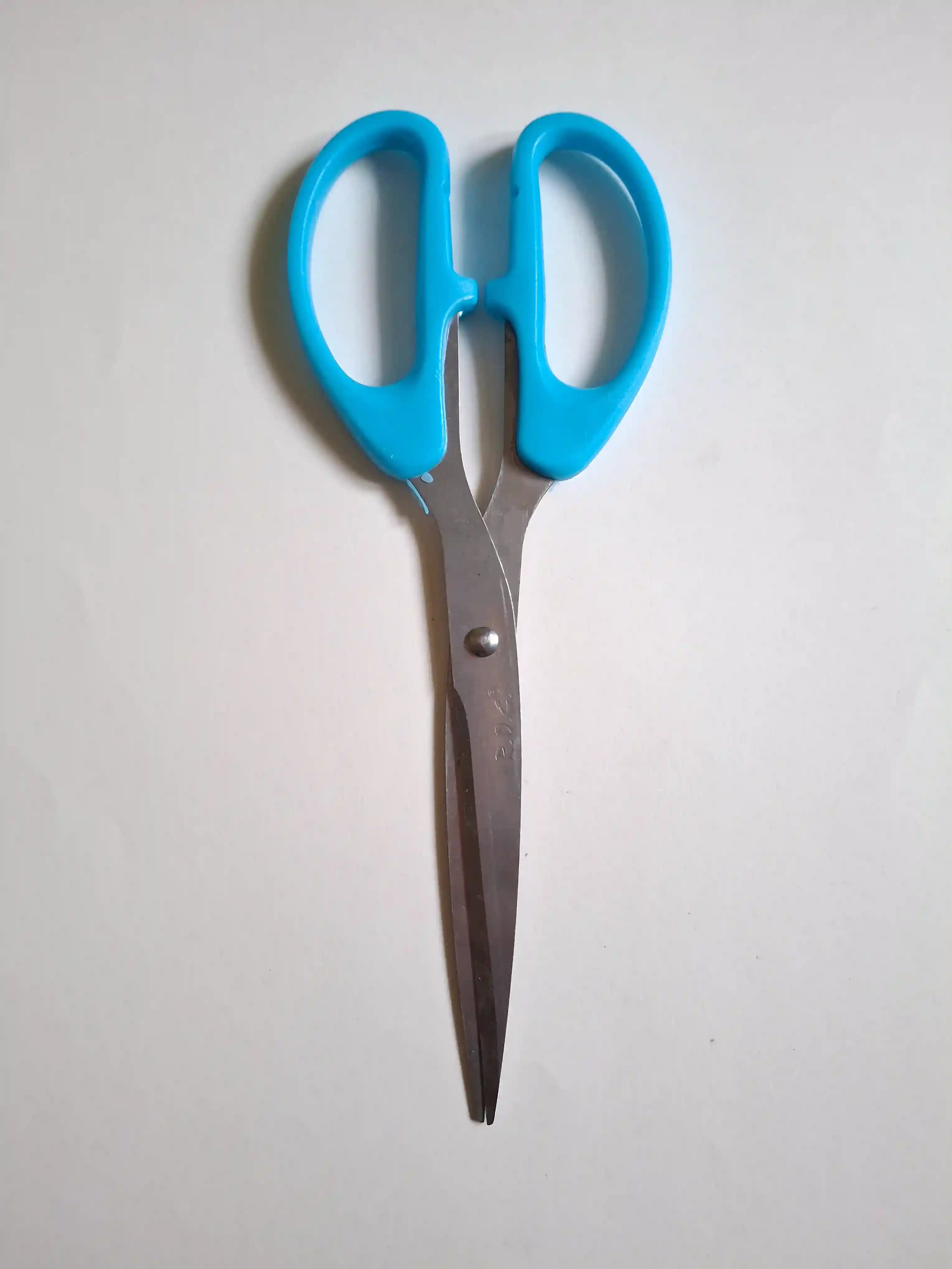 Scissors (large)